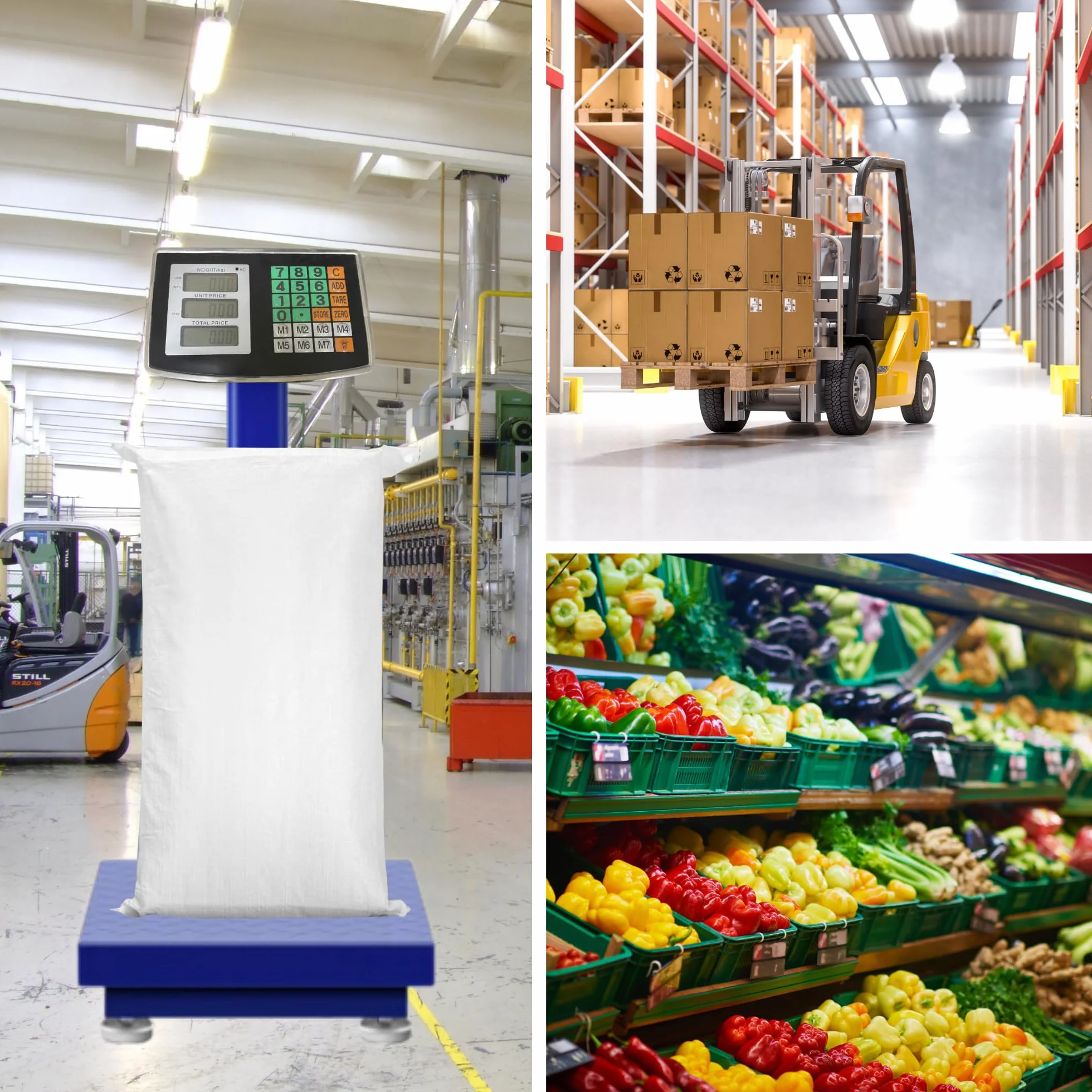 Bilancia a Piattaforma Industriale 300kg Digitale Pieghevole Display LCD Acciaio Professionale