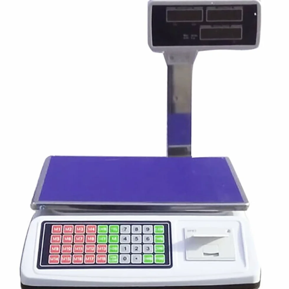 Bilancia Elettronica Digitale Commerciale 50 kg Precisione 1/3000 F.S.