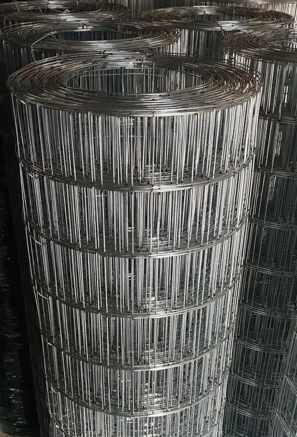 Rete Recinzione Elettrosaldata Zincata 50x75 mm Rotolo 25 mt H200 cm