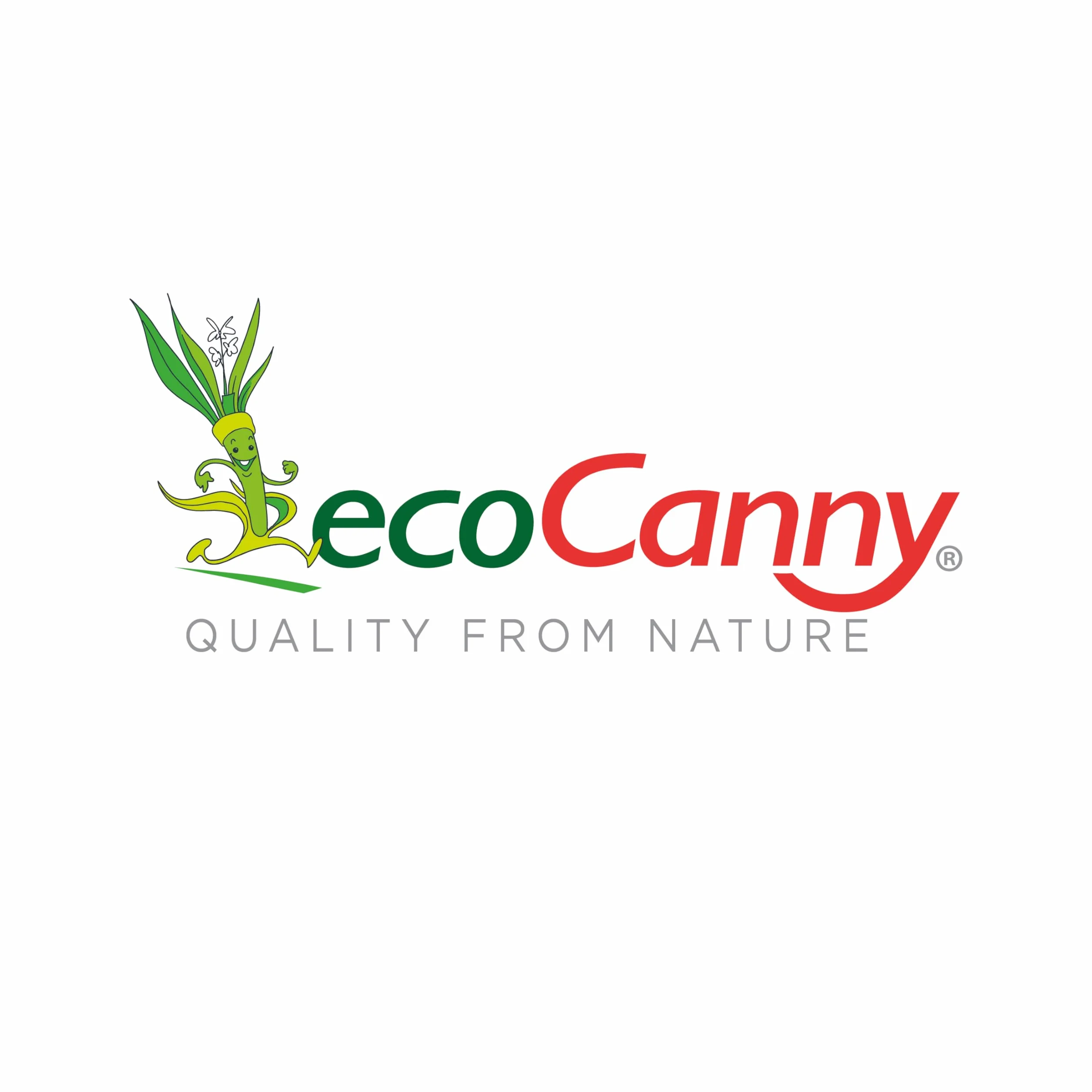 Vaschetta Biodegradabile in Canna da Zucchero 450cc 173x123xh40mm 50 Pezzi