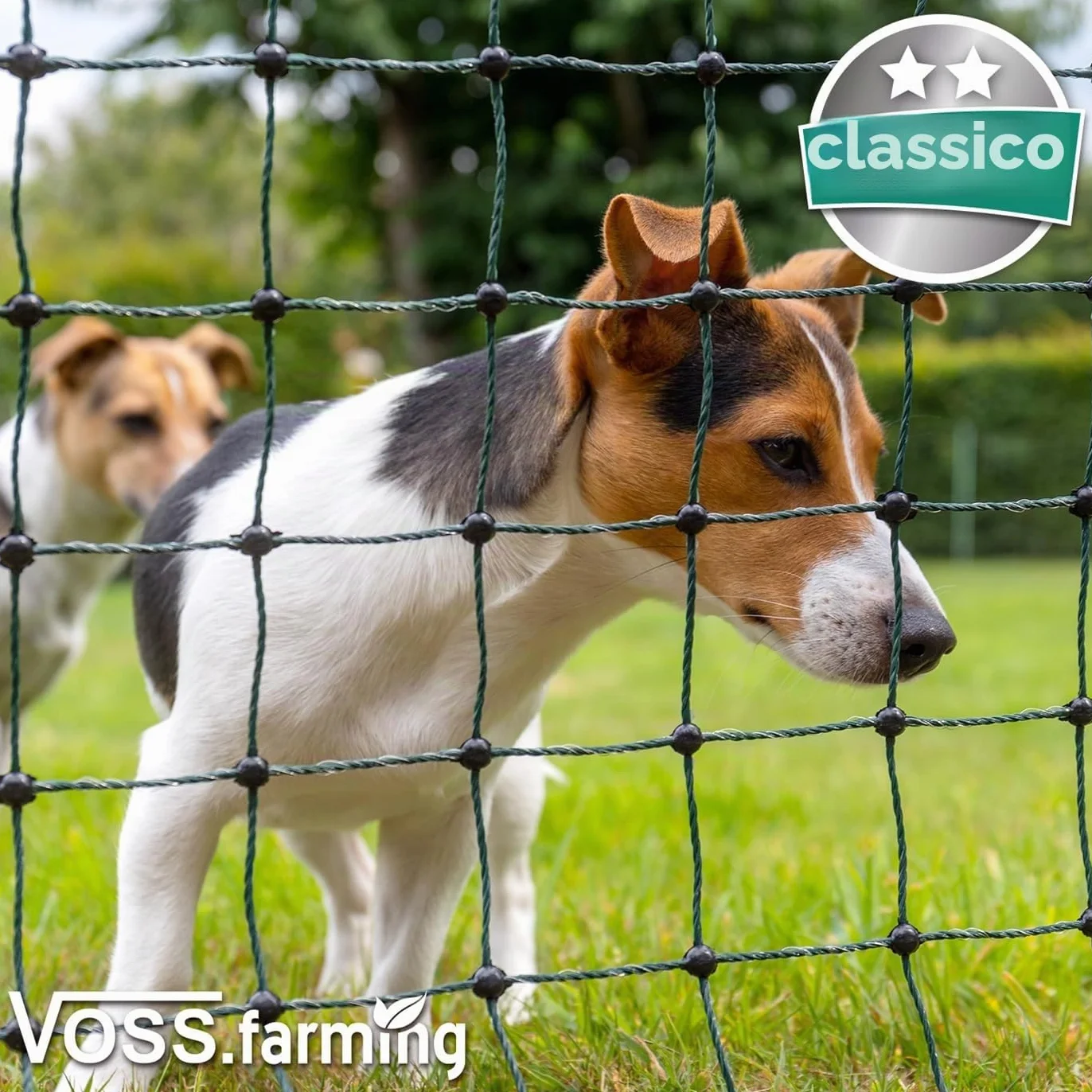 VOSS.farming Rete pollame Classic per recinzioni elettrificabili, 112 cm di Altezza e 25 m di Lunghezza, a Punta Doppia, Dotata di 9 Pali, Colore Verde