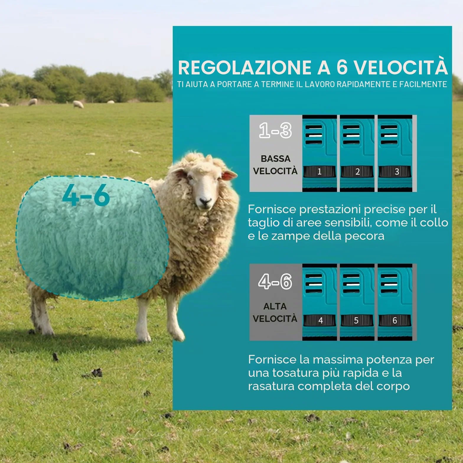 ONEVAN tosatore per pecora a batteria, elettrico 2 batterie 4000 mAh, 6 velocità, senza fili per pecora e capre