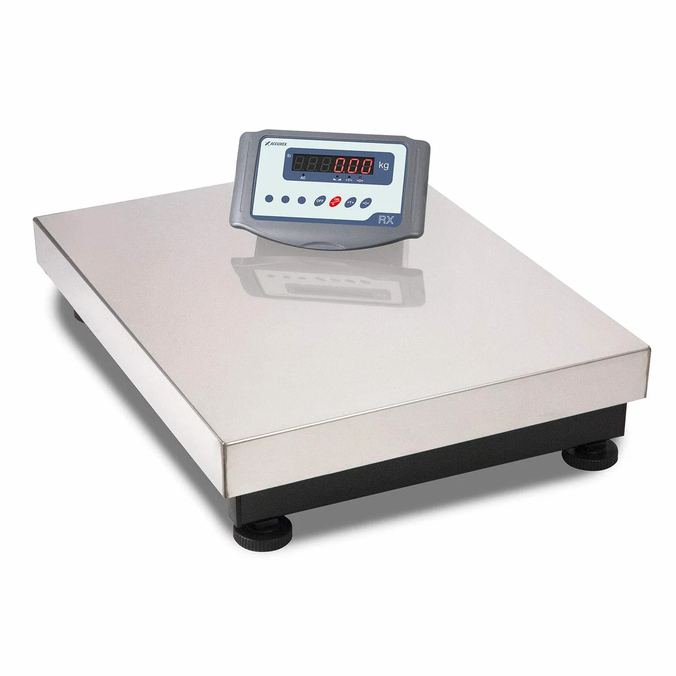Accurex RXT Bilancia industriale da banco (30 kg / 5 g / 400 x 300 mm)