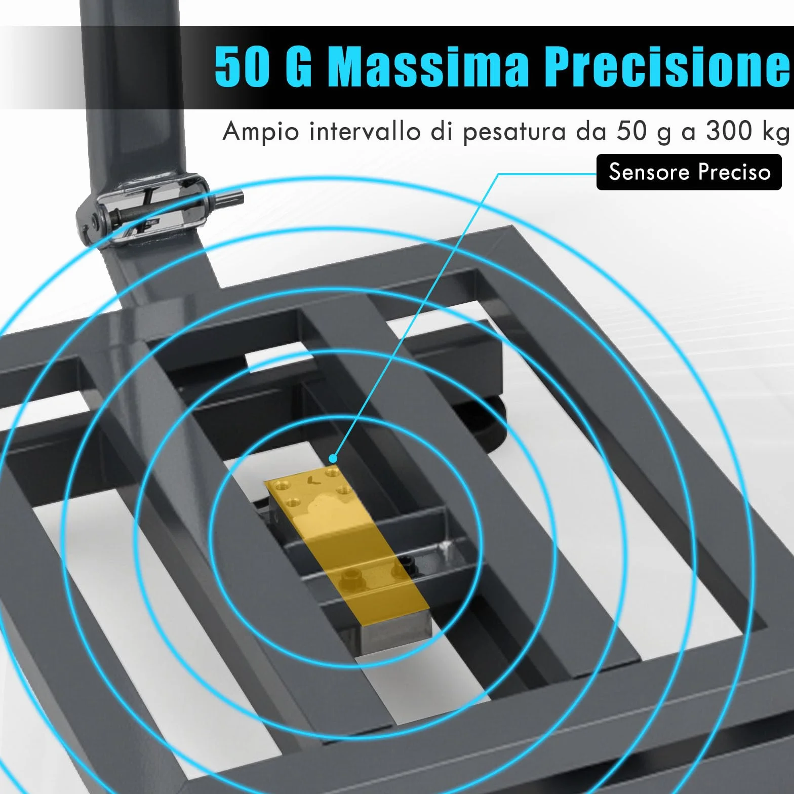 RELAX4IFE Bilancia Digitale Elettronica 300 Kg, Bilancia Professionale per Negozio Azienda Fabbrica (Argento)
