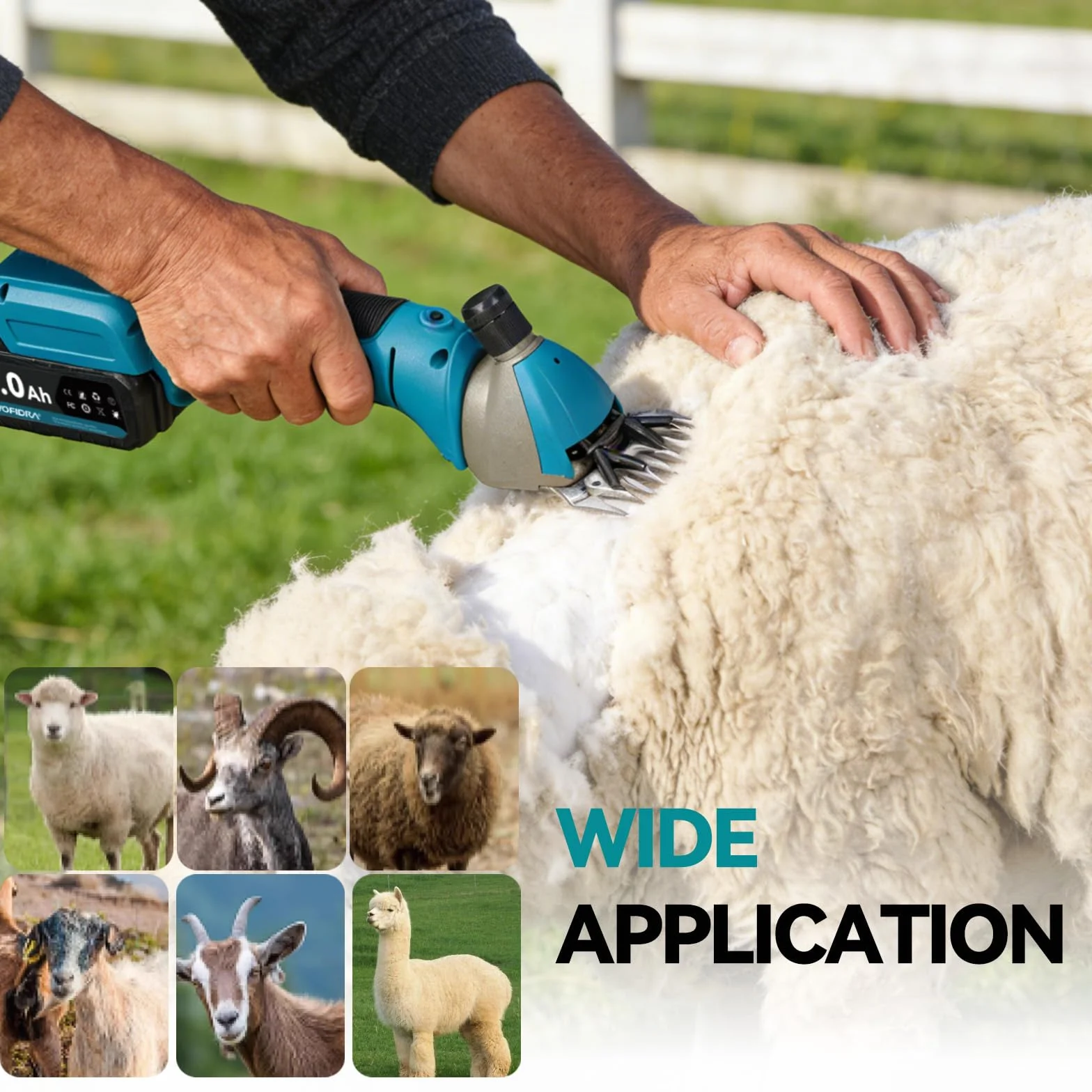 Yofidra Tosatrice per pecore a batteria da 800 W - Tosatrice elettrica con motore brushless, 3000 giri/min, 2 batterie da 3000 mAh, artiglio regolabile, tosatrice per pecore, alpaca e ca, blu