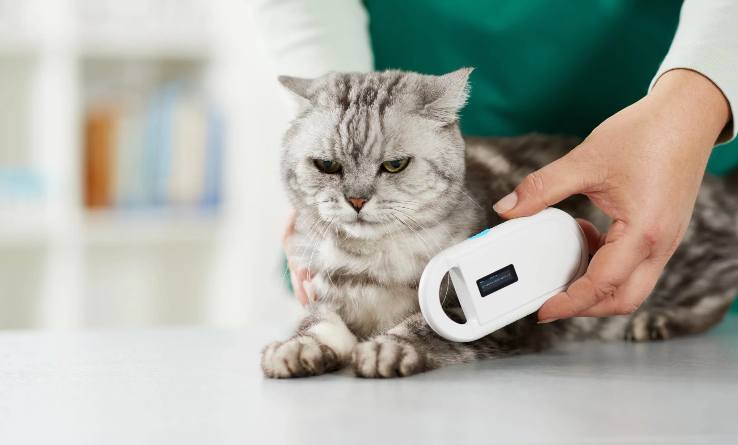 Lettore chip animale per animali RFID chip microchip animali ISO transponder per identificazione degli animali