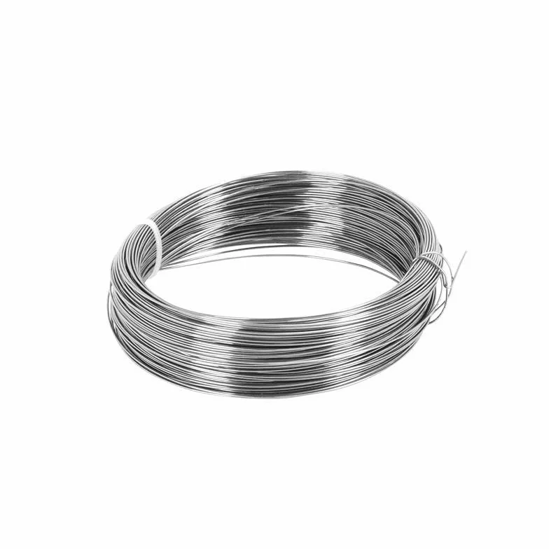 RETELANDIA - Filo di ferro per legatura acciaio inox 0,8 mm x 50 m