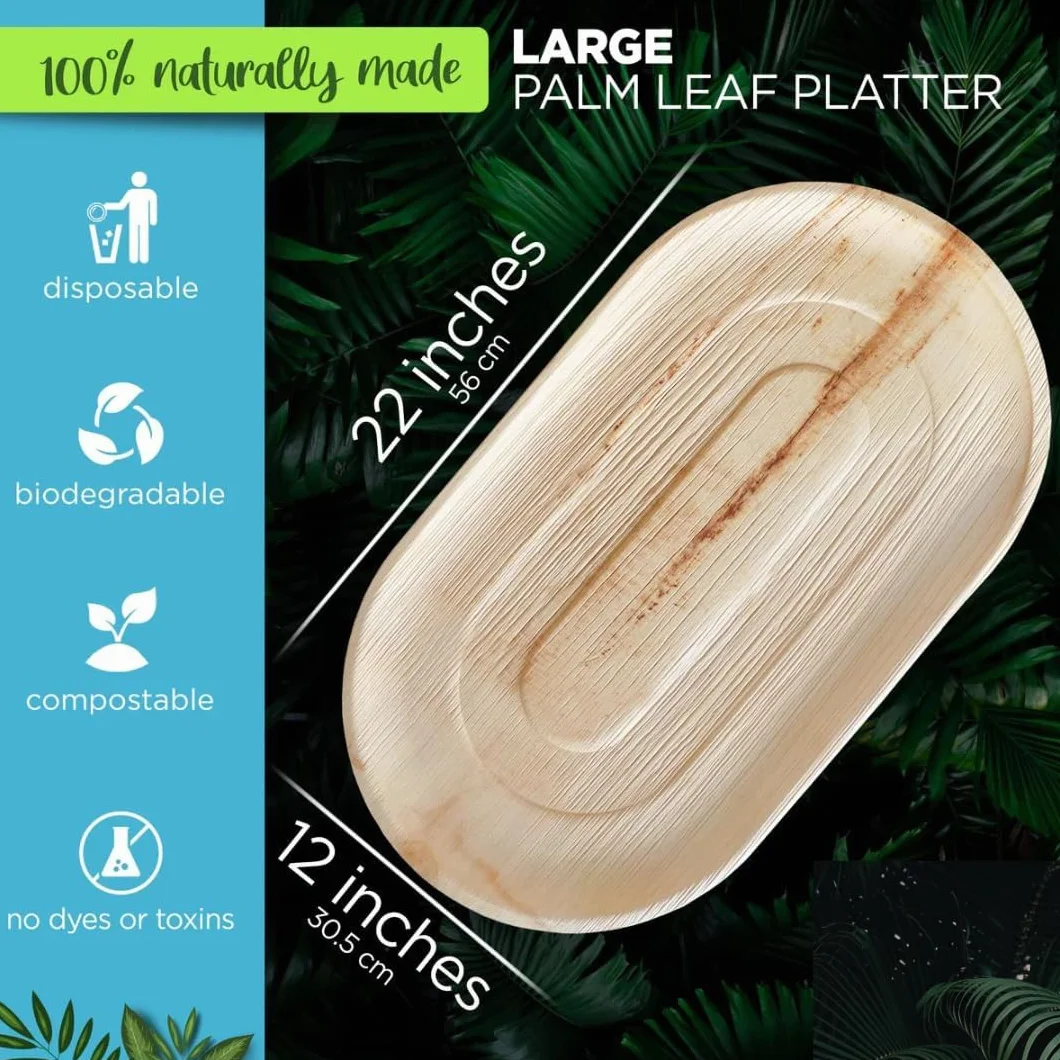 ECO Leaf 10 piatti da portata usa e getta in foglia di palma grandi ovali 56x30 cm vassoi per antipasti matrimoni robusti per cibi caldi