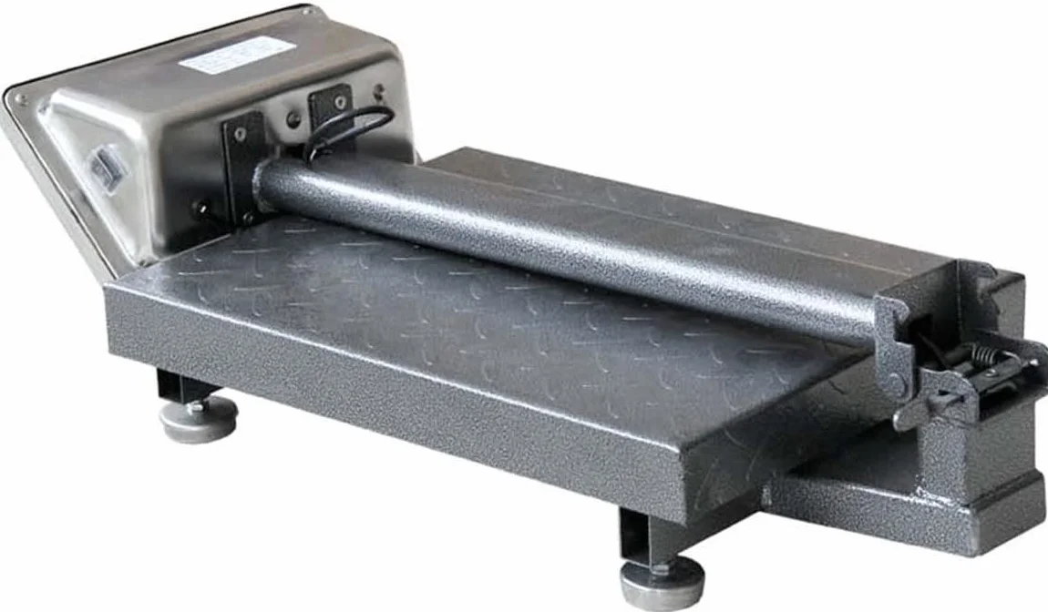 BILICO BILANCIA DIGITALE 100 kg ELETTRONICA DISPLAY DIGITALE 100KG bascula bilico