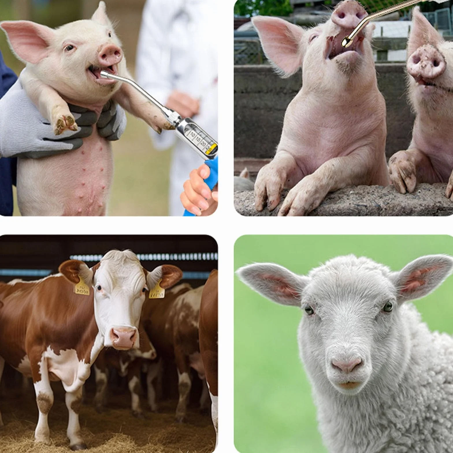 Pistola di Alimentazione Veterinaria Regolabile in Metallo 30 ML per Suini, Mucche, Pecore, Cavalli