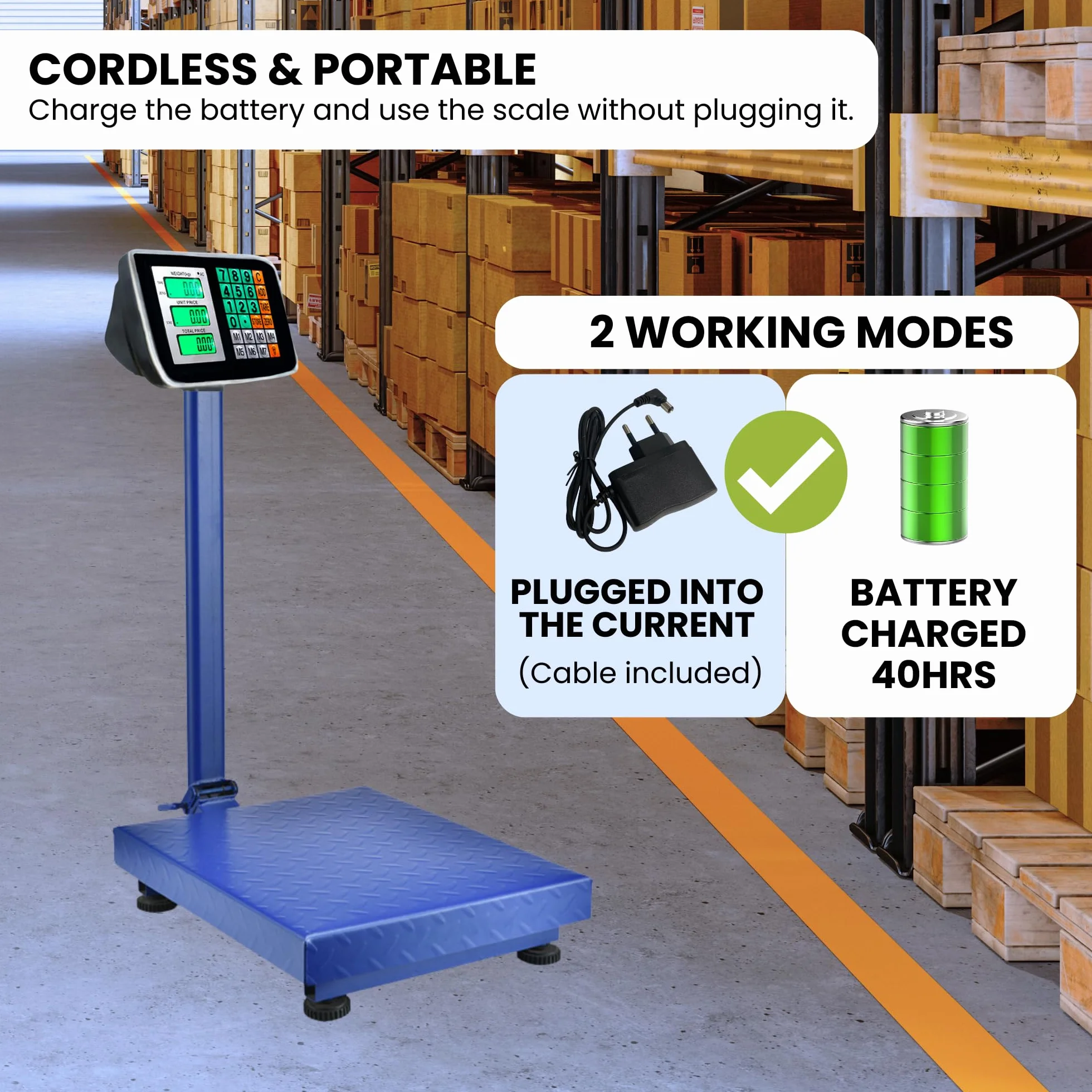 Bilancia a Piattaforma Industriale 300kg Digitale Pieghevole Display LCD Acciaio Professionale