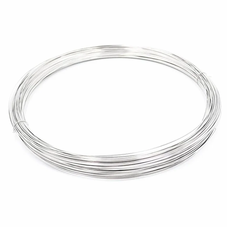 RETELANDIA - Filo di ferro per legatura acciaio inox 0,8 mm x 50 m